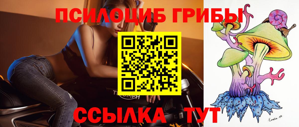 Солнечногорск  Псилоцибиновые грибы ЛСД  Вход с VPN 