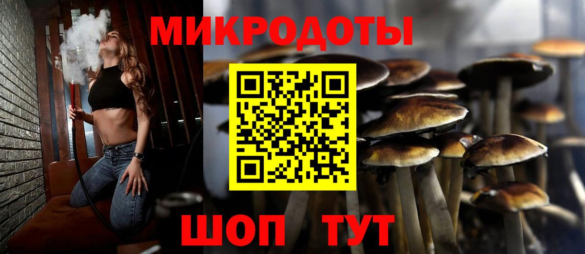 Галлюциногенные грибы Psilocybe Солнечногорск